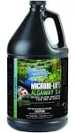 Microbe Lift Algaway 5.4 1 Gallon