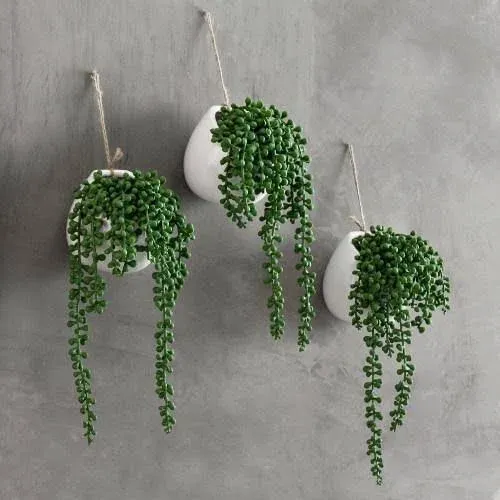 MyGift Set of 3 Faux String of Pearls Plants in White Ceramic Pots with Top Rope